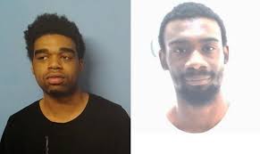 Son of Lake County Black Lives Matter founder arrested for being armed with  loaded handgun at Waukegan Beach