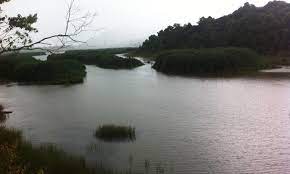 Maybe you would like to learn more about one of these? Malaysiakini Ulasan Sembang Kari Dan Badi Tasik Chini