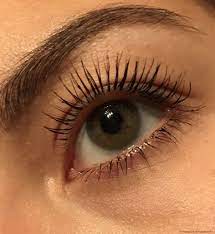 L Oreal Telescopic Mascara Review Telescopic Mascara Mascara Make Up
