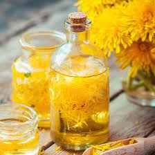 Homemade Dandelion Stout Recipe Dandelion Wine Dandelion And Burdock Dandelion Root Tea