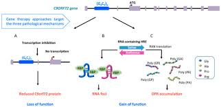 Ijms Special Issue Amyotrophic Lateral Sclerosis