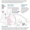 And how can the spanish flu prepare us for. 1