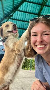 Spend the morning at AREC with us! 🐶 , As a Wildlife Rescue and  Environment Conservation Volunteer, you will visit the centre twice per  week and this is what a general session there will look like! , ...