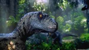 Free Download Jurassic World Wallpaper 1920x1080 Moviewallpapers101com 1920x1080 For Your Desktop Mobile Tablet Explore 47 Jurassic World Wallpaper Jurassic Park Wallpaper Et bien d'autres pour donner un nouveau souffle à votre écran! free download jurassic world wallpaper