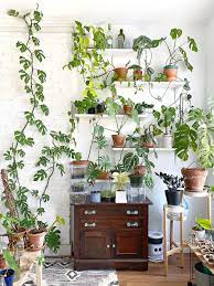 9 Ways To Arrange Your Perfect Indoor Plant Shelf Indoor Plant Shelves Plant Decor Indoor Room With Plants