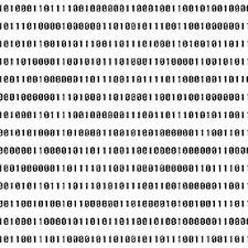 polynesian people used binary numbers 600 years ago technology history polynesian people binary number