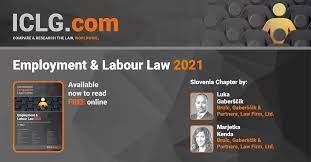 Pdf drive investigated dozens of problems and listed the biggest global issues facing the world today. Employment Labour Law 2021 Slovenia Iclg