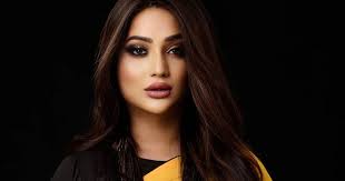 Navya Singh : काय आहे मिस ट्रांसवुमन दिव्या सिंहचा संघर्षमय प्रवास Navya  Singh: What is the struggling journey of Miss Transwoman Divya Singh