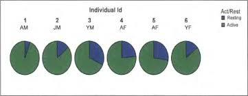 Pie Charts Of Cumulative Daily Activity Period Of The Six