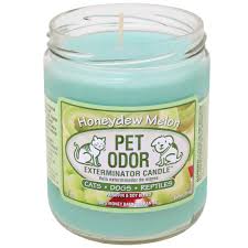 Auto reorders available · outstanding deals! Wholesale Pet Odor Eliminator Candle Scented Fragrance Candle View Pet Odor Eliminator Candle Tabo Product Details From Shijiazhuang Tabo Candles Sales Co Ltd On Alibaba Com