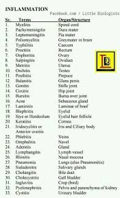 Irritation Pathology In 2020 Medical Terminology Study Medical Student Study Medical School Studying