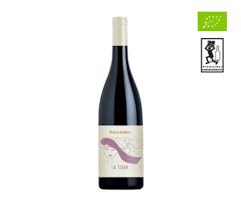 La Syrah Tenuta Lenzini Un Progetto Che Ha Preso Vita Nel 2005 Nell Area Delle Colline Lucchesi Come Concretizzazione Del Vino Biologico Vino Naturale Vino