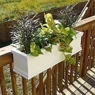 This window box planter is rectangular in shape and allows excess water to drain out easily. Flower Box Wikipedia