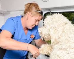 Aussie pet mobile is ranked #1 in the mobile pet grooming industry, with no other competitor of similar scale on the market. About Aussie Pet Mobile Beach Cities West