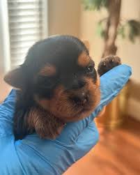 One female left!!!! Get at me!!!