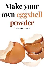 We did not find results for: Many Incredible Uses For Eggshells Baking Soda Cleaning Egg Shells Food Saver
