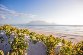 If yes, worry not, check out the best instagram bio ideas, status and captions for boys and girls. Afrikaans Archives Fluency Pending