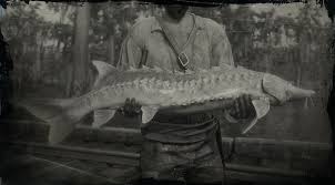 Lake Sturgeon Red Dead Redemption 2 Animals Species