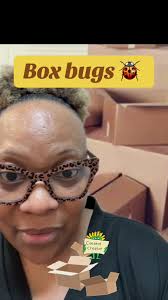 Jill Harros Box Bugs