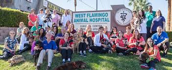 One of our experienced exotic animal vets who focuses on exotic pets will assess your exotic pet and information. West Flamingo Animal Hospital Veterinarian And Pet Care Services In Las Vegas