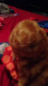 michael.vanpattensr (@michael.vanpatten)’s videos with My coffee day