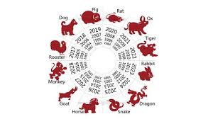 Ramalan Peruntungan 12 Shio Di Tahun 2020 Pemilik Shio Tikus Punya Prospek Fantastis Tribun Jogja