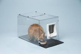 Maybe you would like to learn more about one of these? Dog Proof Cat Feeding Stations Lovetoknow