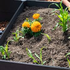 Maybe you would like to learn more about one of these? How To Prepare Your Garden Beds For Spring Holman Industries