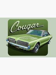 Image result for Frost White 1967 AMC