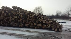 A wide variety of firewood free options are available to you, such as loop option (lifting), safety factor, and material. Firewood For Sale Home Facebook