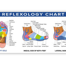 Foot Reflexology Poster Vinyl Banner 54 X 17 25 Reflexology Chart Color Acupressure For