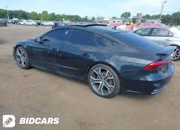 Image result for Navarra Blue 2019 A7