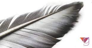 If you have been blessed with a grey feather, it is a sign of calmer times ahead. Ignite Your Can Do Mindset In Flew A Grey Feather
