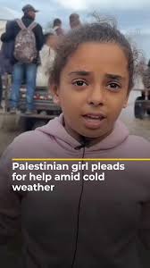 This is not a war. This is the pure definition of ethnic cleansing.” US  Special Forces veteran Alan Shebaro, whose viral video captured him  criticising US support for Israel at a Texas