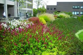 She Creates Urban Edens Landscape Architect Public Garden Urban