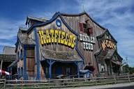 4 Things to Do in Pigeon Forge for First-Time Visitors | Hatfield ...