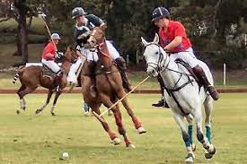 The best spectator sports are the ones that are not only the sports that are fun to play, but the sports that are thrilling to watch. Pin By Barbados Org On Barbados Sports And Recreation Barbados Holiday Disney World Resorts Caribbean Culture