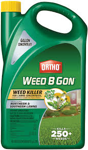 5.) grassy weed control (for lawns) this is going to be quinclorac. Amazon Com Ortho 0430005 B Gon Weed Killer For Lawns Concentrate 1 Gallon 1 Gal Garden Outdoor
