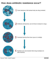 drug resistance a rising threat in canada report bbc news