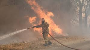 Γρεβενά: Σε εξέλιξη η πυρκαγιά στην Βάλια Κάλντα | Cretalive ειδήσεις