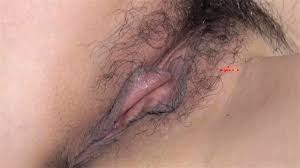 PANS 暖暖 2 Porn 欲望释放 极致诱惑