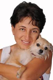 Top New Construction Services Profiles in FORT MYERS BEACH, FL