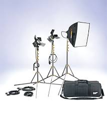 Lowel Pro Light