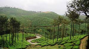 Kerala Wallpaper Nature Tourism Tour Packages Nature Desktop Wallpaper