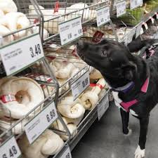 Below is a list of cities in connecticut where fromm family foods artisan pet food and treats are sold through independent and locally owned stores. Pet Supplies Plus Groton 23 Photos Pet Stores 708 Long Hill Rd Groton Ct Phone Number Services Yelp