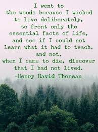 Thoreau Quotes I Went To The Woods Thoreau Quotes Thoreau Quotes Nature Nature Quotes