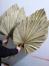 Ghy Decor 7 Stems Natural Dried Palm Leaves Trimmed Dried Etsy Palm Leaf Decor Leaf Decor Dried Flowers