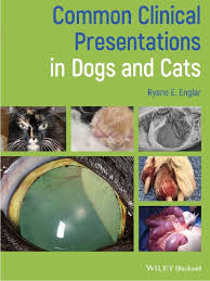 When lentigo first appears in cats, it often pops up on the lips as tiny dots , before spreading to the eyelids, gums, and nose. Common Clinical Presentations In Dogs And Cats Vetbooks Ir Pdf Medical Diagnosis Learning