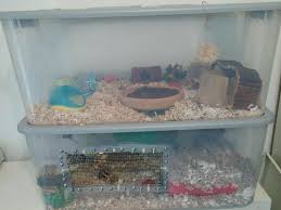 Art the hamster how to make a hamster bin cage buy a clear plastic storage container box cutters zip ties. Are Bin Cages With Levels Okay Supplies Accessories Hamster Hideout Forum