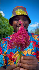 Meet our seed grower Solomon Amuzu of Ghana 🇬🇭 Solomon and his family  grow many different seeds for us including this field of local basil.  Solomon works to promote natural agriculture in
